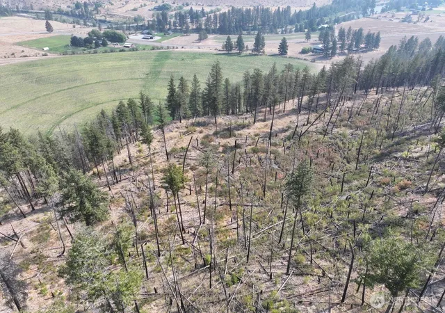 Photo 2 of Land for sale at 0 Gold Creek Loop Rd, Carlton, WA 98814 | MLS# NWM2573412 | Listing updated on 2026-09-25