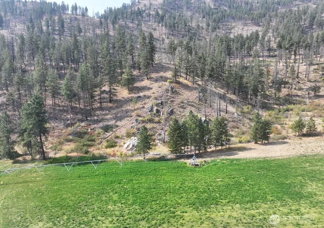 Photo 3 of Land for sale at 0 Gold Creek Loop Rd, Carlton, WA 98814 | MLS# NWM2573412 | Listing updated on 2026-09-25