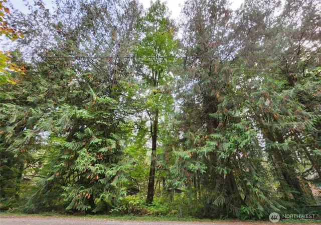 Photo 2 of Land for sale at 19504 River Pl, Index, WA 98294 | MLS# NWM2573479 | Listing updated on 2026-09-25