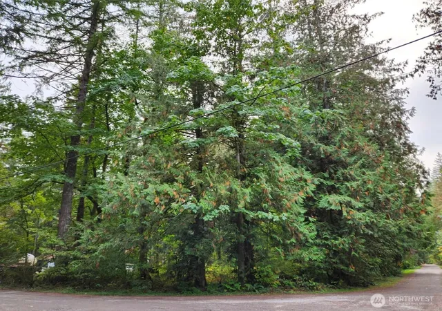 Photo 3 of Land for sale at 19504 River Pl, Index, WA 98294 | MLS# NWM2573479 | Listing updated on 2026-09-25