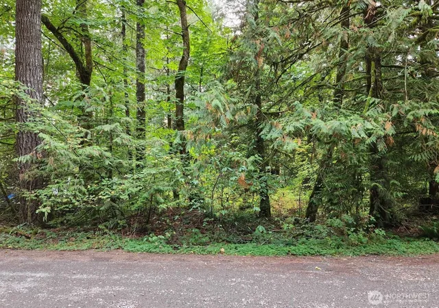 Photo 3 of Land for sale at 19504 River Pl, Index, WA 98294 | MLS# NWM2573479 | Listing updated on 2026-09-25