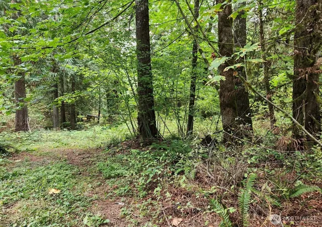 Photo 4 of Land for sale at 19504 River Pl, Index, WA 98294 | MLS# NWM2573479 | Listing updated on 2026-09-25