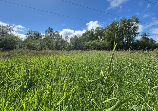 Photo 3 of Land for sale at 10641 44th Ave E, Tacoma, WA 98446 | MLS# NWM2573502 | Listing updated on 2026-09-25