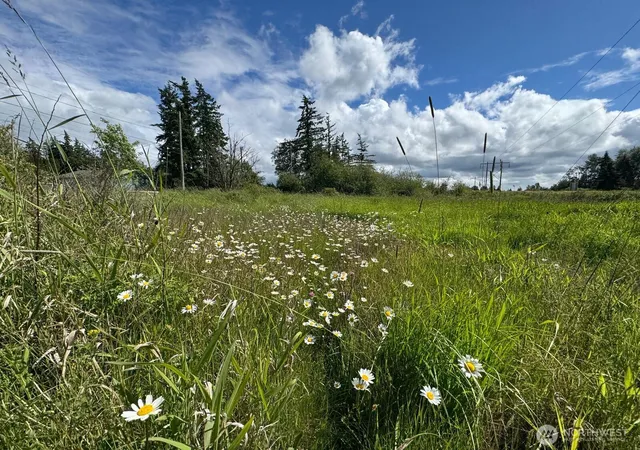 Photo 3 of Land for sale at 10641 44Th Ave E, Tacoma, WA 98446 | MLS# NWM2573502 | Listing updated on 2026-09-25