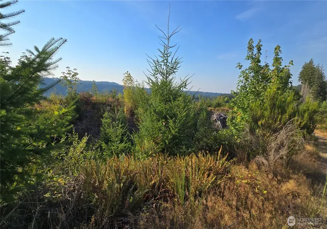 Land for sale at 16001 223Rd Ave E, Orting, WA 98360 | MLS# NWM2573518