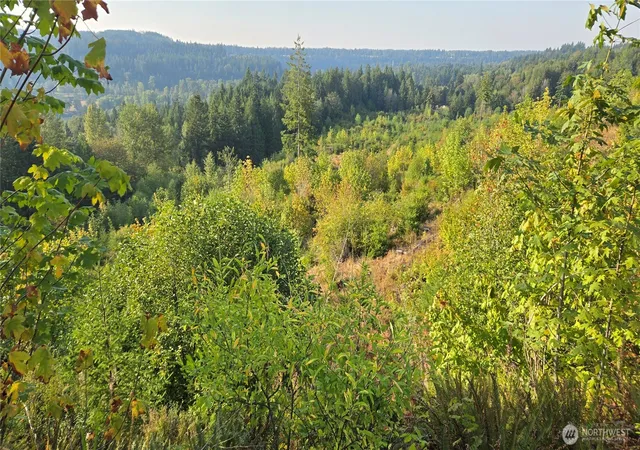 Photo 2 of Land for sale at 16001 223rd Ave E, Orting, WA 98360 | MLS# NWM2573518 | Listing updated on 2026-09-25