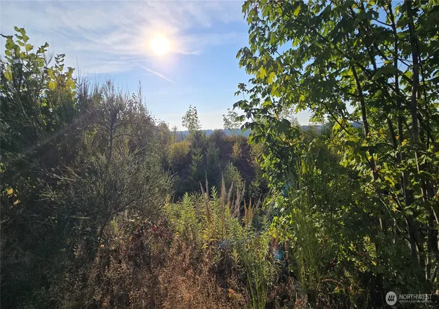 Photo 3 of Land for sale at 16001 223Rd Ave E, Orting, WA 98360 | MLS# NWM2573518 | Listing updated on 2026-09-25
