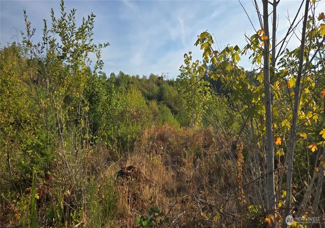 Photo 4 of Land for sale at 16001 223Rd Ave E, Orting, WA 98360 | MLS# NWM2573518 | Listing updated on 2026-09-25