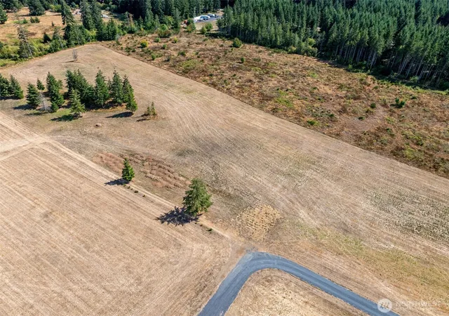 Photo 3 of Sale Pending at 0 Mcglaughlin Rd #5, Winlock, WA 98596 | MLS# NWM2573534 | Listing updated on 2026-10-01