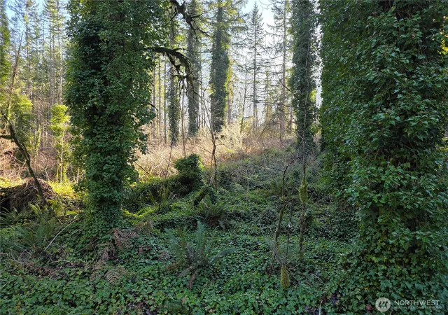 Photo 2 of Land for sale at 73 Xx 226th Ave Ne #1, Granite Falls, WA 98252 | MLS# NWM2573764 | Listing updated on 2026-09-25