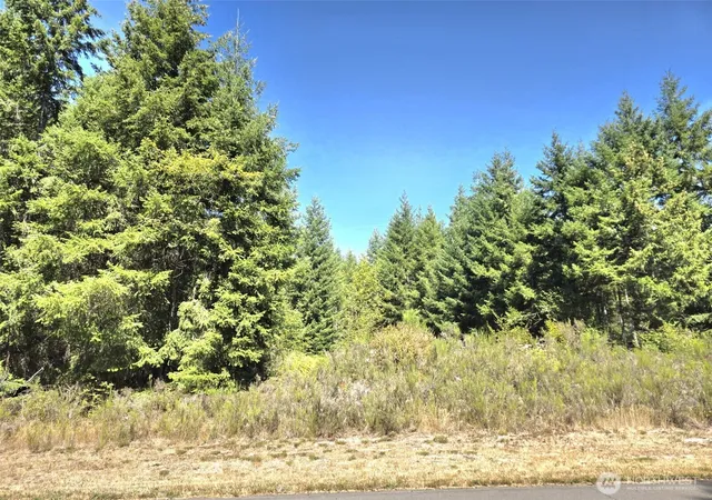 Photo 1 of Land for sale at 19710 146th Ave Se, Yelm, WA 98597 | MLS# NWM2573793 | Listing updated on 2026-09-25