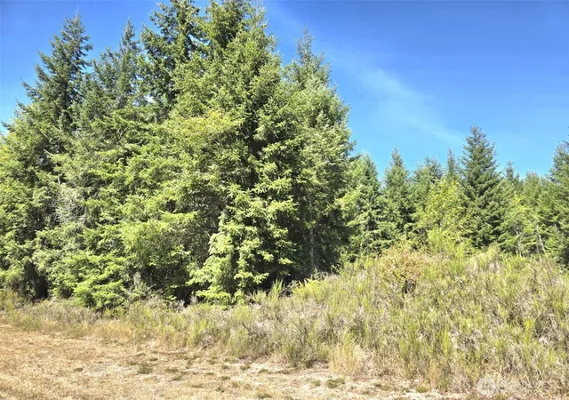 Photo 2 of Land for sale at 19710 146th Ave Se, Yelm, WA 98597 | MLS# NWM2573793 | Listing updated on 2026-09-25