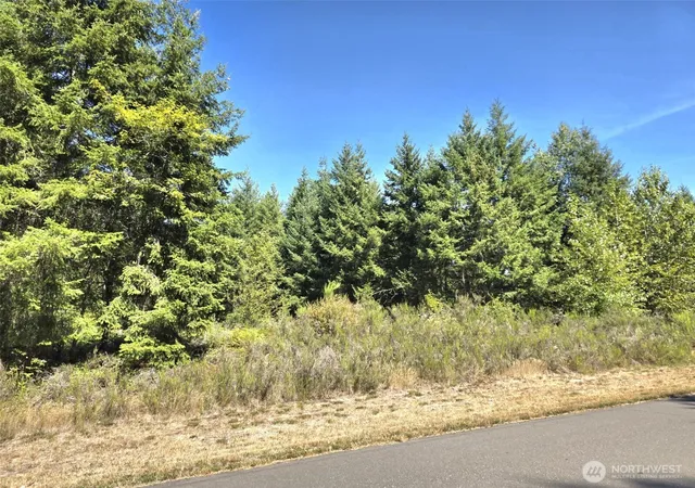 Photo 3 of Land for sale at 19710 146th Ave Se, Yelm, WA 98597 | MLS# NWM2573793 | Listing updated on 2026-09-25