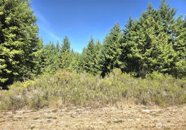 Photo 4 of Land for sale at 19710 146Th Ave Se, Yelm, WA 98597 | MLS# NWM2573793 | Listing updated on 2026-09-25