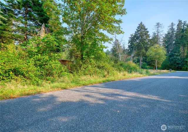 Photo 3 of Land for sale at 82 Massey Wy, Point Roberts, WA 98281 | MLS# NWM2573906 | Listing updated on 2026-09-25