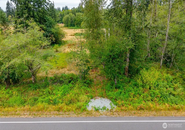 Photo 4 of Land for sale at 0 Old 99 Hwy, Stanwood, WA 98292 | MLS# NWM2573982 | Listing updated on 2026-09-28
