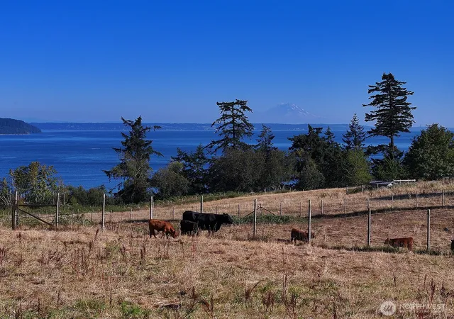 Photo 3 of Single family home for sale at 6065 Mcmaster Rd, Freeland, WA 98249 | MLS# NWM2574017 | Listing updated on 2026-09-18