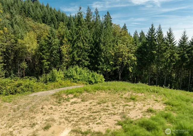 Land for sale at 239 Junco Ln, Woodland, WA 98674 | MLS# NWM2574054
