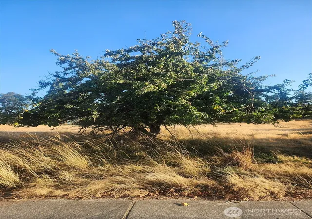 Photo 2 of Land for sale at 0 Xxx E Park Ave, Port Angeles, WA 98362 | MLS# NWM2574501 | Listing updated on 2026-09-25