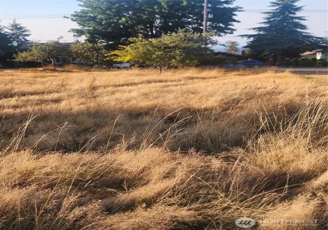 Photo 3 of Land for sale at 0 Xxx E Park Ave, Port Angeles, WA 98362 | MLS# NWM2574501 | Listing updated on 2026-09-25