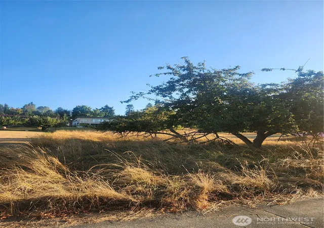 Photo 3 of Land for sale at 0 Xxx E Park Ave, Port Angeles, WA 98362 | MLS# NWM2574501 | Listing updated on 2026-09-25