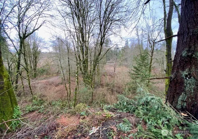 Land for sale at 132 &129 Linda St Se, Tumwater, WA 98501 | MLS# NWM2574638