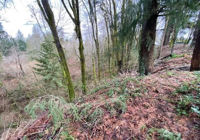 Photo 2 of Land for sale at 132 &129 Linda St Se, Tumwater, WA 98501 | MLS# NWM2574638 | Listing updated on 2026-09-25