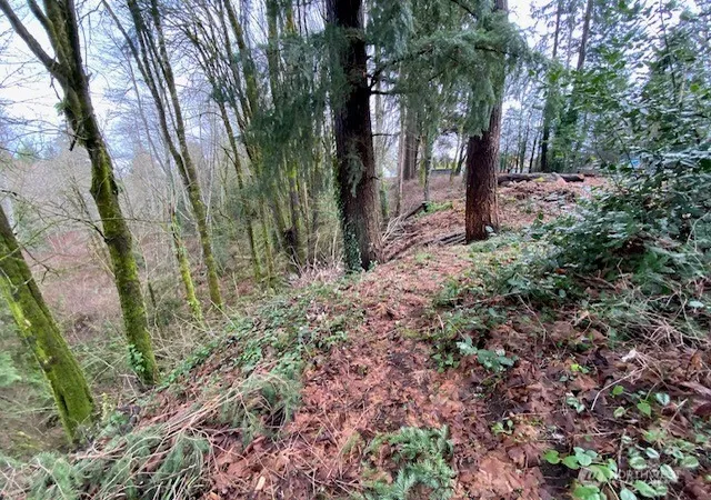Photo 3 of Land for sale at 132 &129 Linda St Se, Tumwater, WA 98501 | MLS# NWM2574638 | Listing updated on 2026-09-25