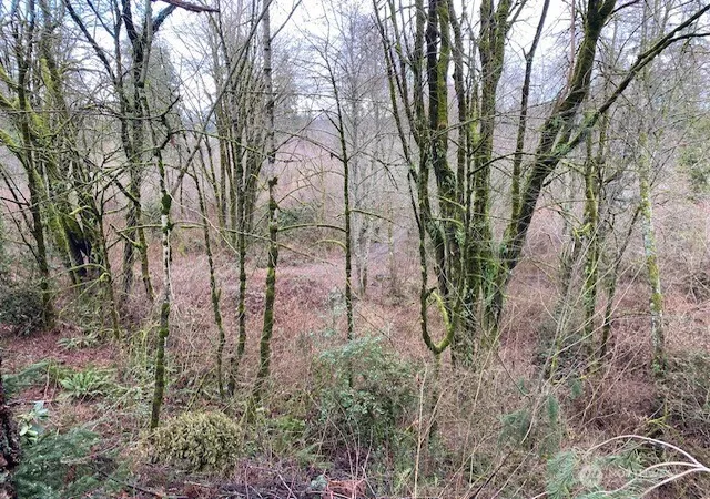 Photo 3 of Land for sale at 132 &129 Linda St Se, Tumwater, WA 98501 | MLS# NWM2574638 | Listing updated on 2026-09-25