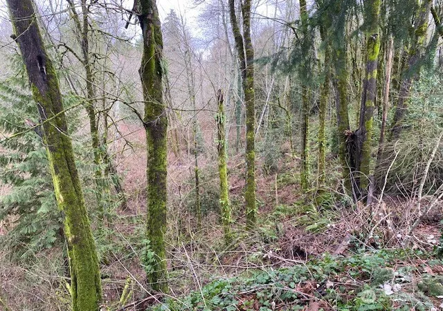 Photo 4 of Land for sale at 132 &129 Linda St Se, Tumwater, WA 98501 | MLS# NWM2574638 | Listing updated on 2026-09-25