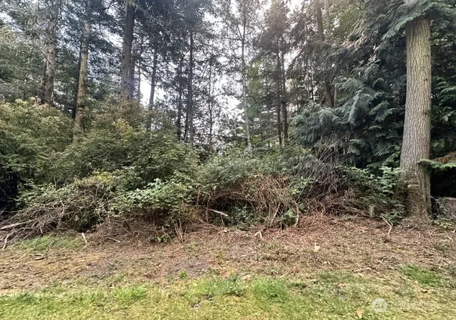 Photo 4 of Land for sale at 68 A Bryn Mawr Ave #A, Lopez Island, WA 98261 | MLS# NWM2574666 | Listing updated on 2026-09-25