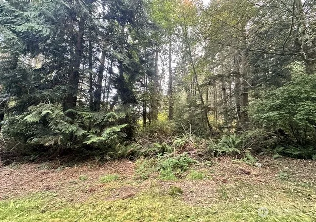 Photo 4 of Land for sale at 68 Bryn Mawr Ave #B, Lopez Island, WA 98261 | MLS# NWM2574668 | Listing updated on 2026-09-25