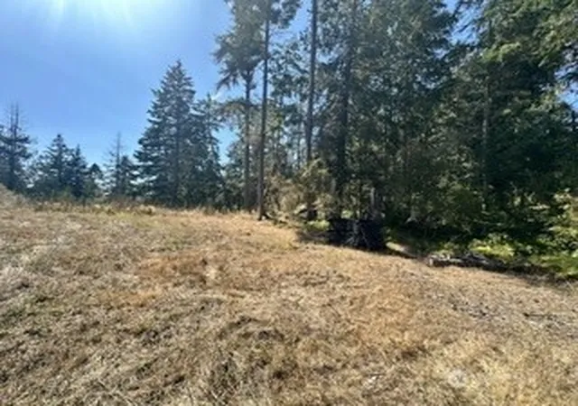 Photo 3 of Land for sale at 68 Bryn Mawr Ave #C, Lopez Island, WA 98261 | MLS# NWM2574672 | Listing updated on 2026-09-25