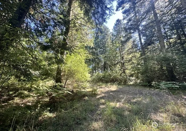 Photo 4 of Land for sale at 68 Bryn Mawr Ave #C, Lopez Island, WA 98261 | MLS# NWM2574672 | Listing updated on 2026-09-25