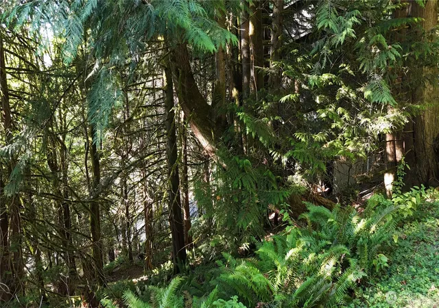 Photo 3 of Land for sale at 18 Valley View Cir, Bellingham, WA 98229 | MLS# NWM2574766 | Listing updated on 2026-09-25