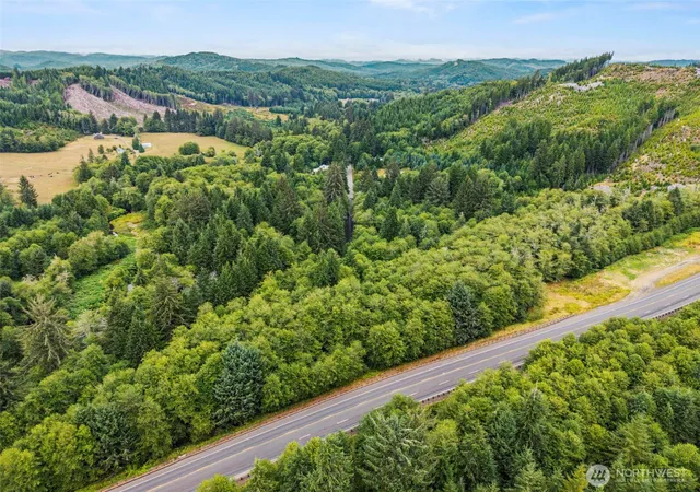 Photo 3 of Land for sale at 80 Salmon Creek Rd, Naselle, WA 98626 | MLS# NWM2574780 | Listing updated on 2026-09-25