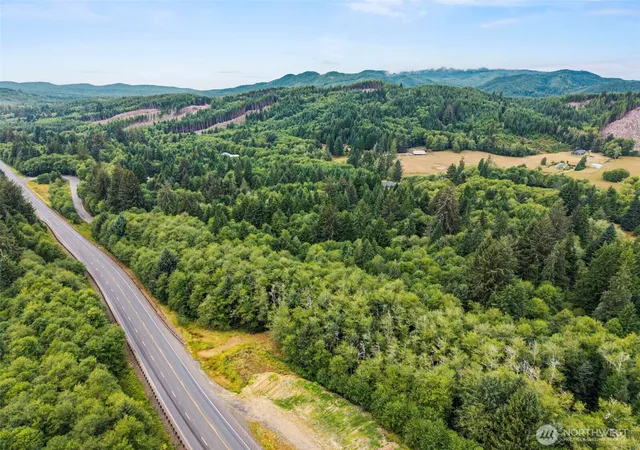 Photo 3 of Land for sale at 80 Salmon Creek Rd, Naselle, WA 98626 | MLS# NWM2574780 | Listing updated on 2026-09-25