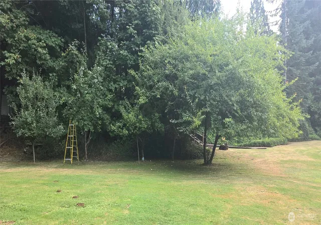 Photo 4 of Single family home for sale at 41 Tornow Dr, Elma, WA 98541 | MLS# NWM2574853 | Listing updated on 2026-09-25