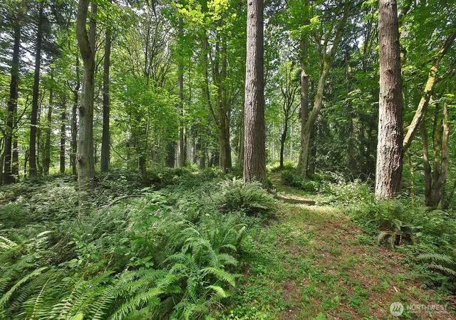 Photo 2 of Land for sale at 0 Xxx Hellman Rd, Clinton, WA 98236 | MLS# NWM2574895 | Listing updated on 2026-09-25