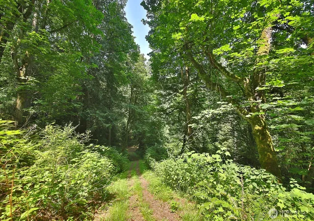 Photo 3 of Land for sale at 0 Xxx Hellman Rd, Clinton, WA 98236 | MLS# NWM2574895 | Listing updated on 2026-09-25