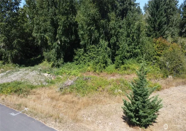 Photo 1 of Land for sale at 3009 342nd St Ct S, Roy, WA 98580 | MLS# NWM2574972 | Listing updated on 2026-09-25