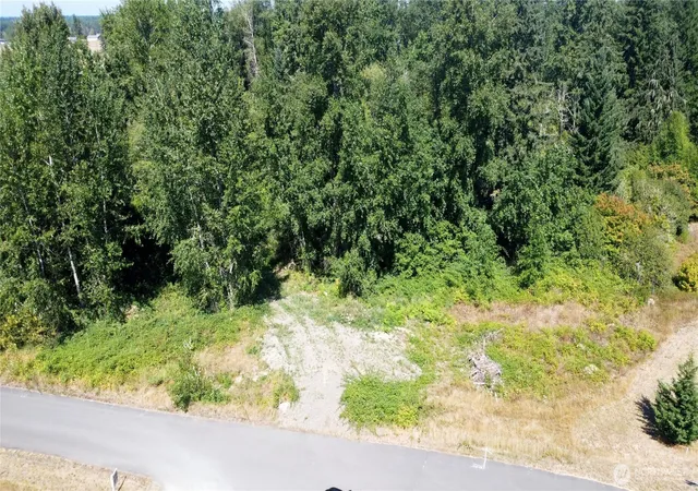 Photo 3 of Land for sale at 3009 342nd St Ct S, Roy, WA 98580 | MLS# NWM2574972 | Listing updated on 2026-09-25