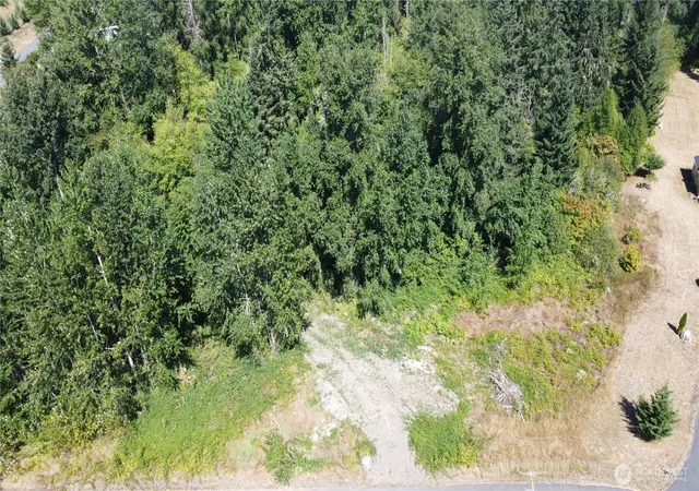 Photo 3 of Land for sale at 3009 342Nd St Ct S, Roy, WA 98580 | MLS# NWM2574972 | Listing updated on 2026-09-25