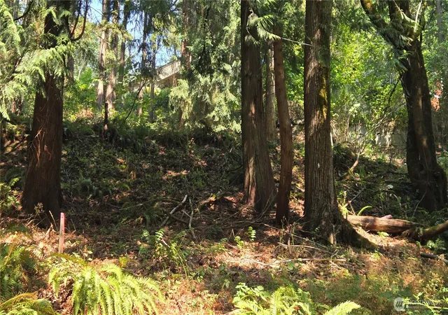 Photo 4 of Land for sale at 1320 207Th Pl Ne, Sammamish, WA 98074 | MLS# NWM2575008 | Listing updated on 2026-09-28
