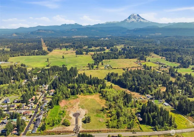 Photo 4 of Single family home for sale at 10231 256th Street Ct E, Graham, WA 98338 | MLS# NWM2575020 | Listing updated on 2026-09-24