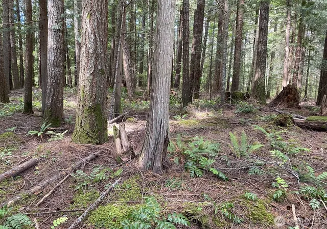 Photo 3 of Land for sale at 0 Nw Holly Rd, Bremerton, WA 98312 | MLS# NWM2575124 | Listing updated on 2026-09-30
