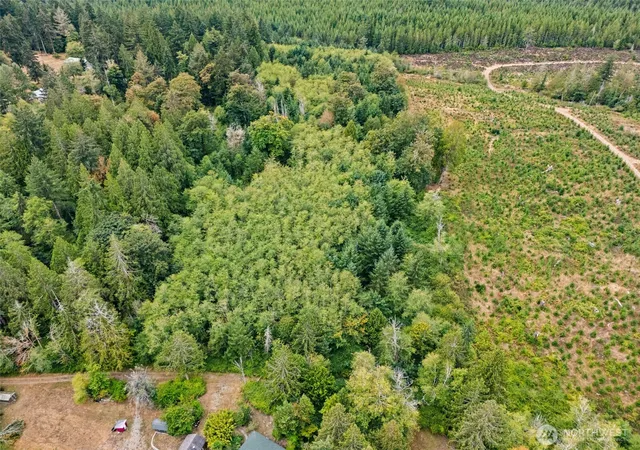 Photo 4 of Sale Pending at 0 E Lombard Rd N, Grapeview, WA 98546 | MLS# NWM2575136 | Listing updated on 2026-09-18