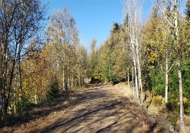 Photo 4 of Land for sale at 365 Xx Cumberland Ridge Rd SE, Enumclaw, WA 98022 | MLS# NWM2575397 | Listing updated on 2026-09-25