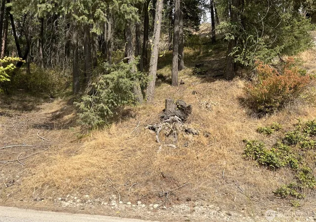 Photo 3 of Land for sale at 76 Hinthorne Lane, Leavenworth, WA 98826 | MLS# NWM2575492 | Listing updated on 2026-09-25