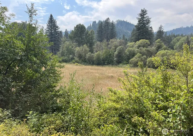 Photo 4 of Land for sale at 76 Hinthorne Lane, Leavenworth, WA 98826 | MLS# NWM2575492 | Listing updated on 2026-09-25